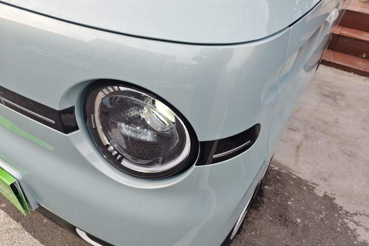 Used  Panda 2025 210 km – Yuanqi Bear
