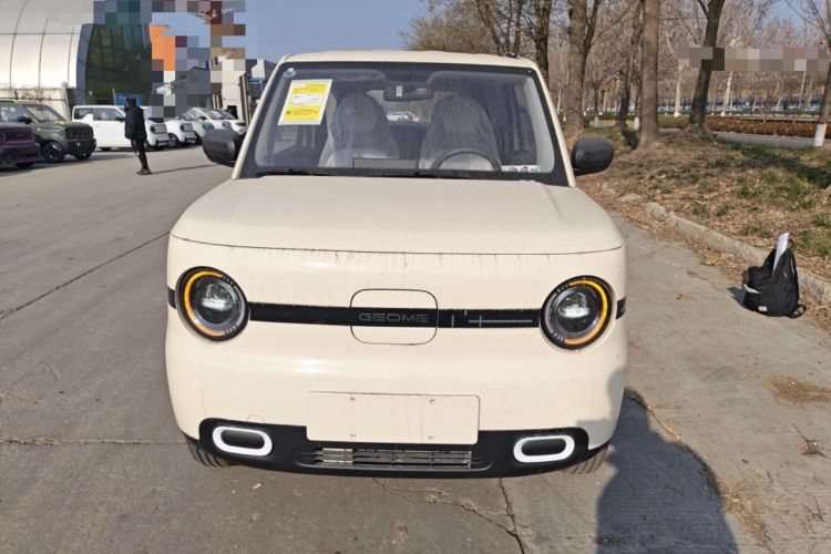 Used  Panda 2025 210 km – Yuanqi Bear
