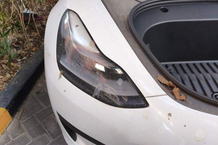 Used Tesla Model 3 2021 Revised Version Standard Range Rear-Wheel Drive Upgraded Edition 3D1
