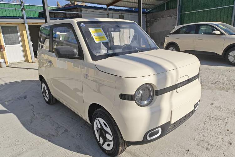 Used  Panda 2025 210 km – Yuanqi Bear
