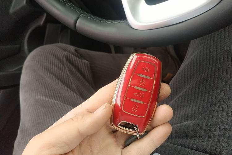 Used Haval DARGO 2021 2.0T DCT Two-Wheel Drive Chinese Mastiff Edition
