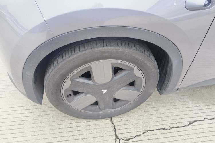 Used  firefly 2025 Free Edition
