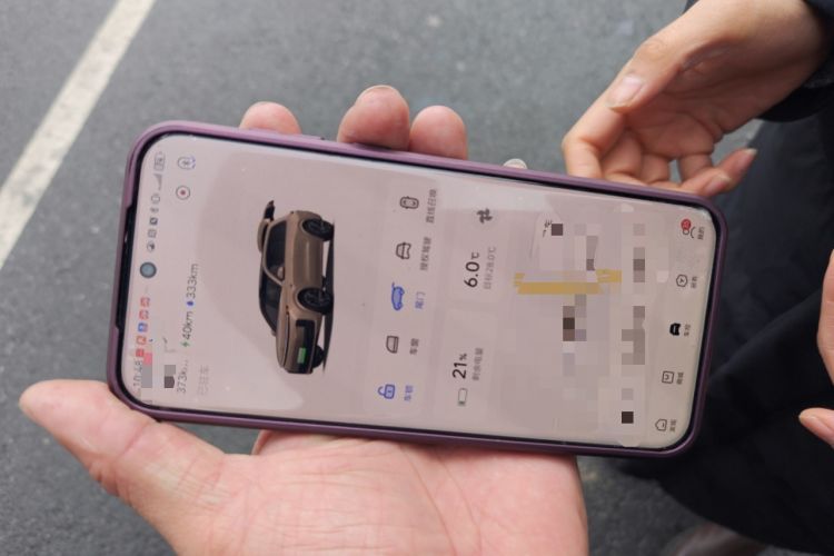 Used Li Auto L9 2022 Max model
