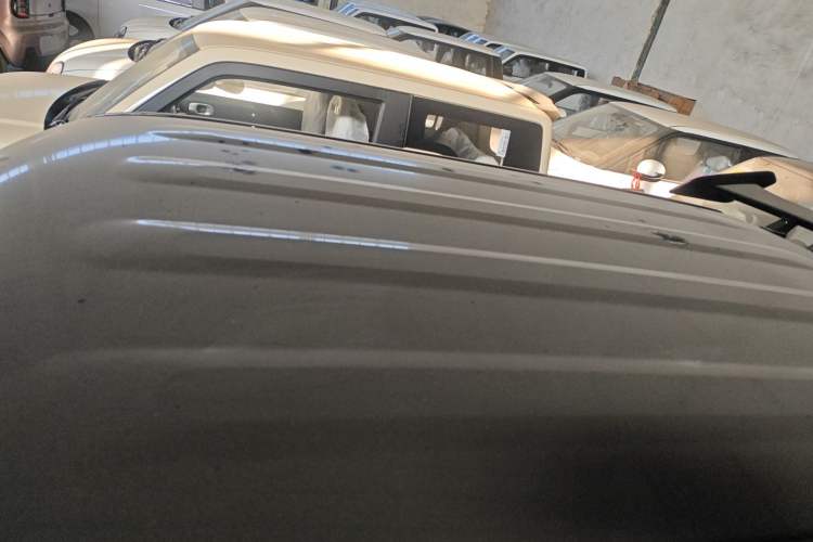 Used  Panda 2025 210km Panda Kart