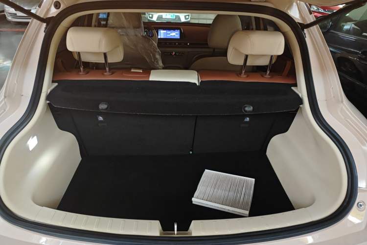 Used ORA Good Cat 2021 400km Standard Range Athena Edition Lithium Iron Phosphate
