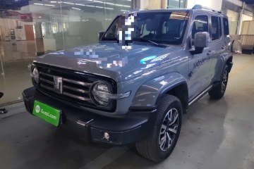 Used Tank 300 2021 City Edition 2.0T—Truly Stylish