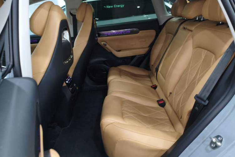 Used Leapmotor C11 2024 Range-Extended 300 Luxury Edition
