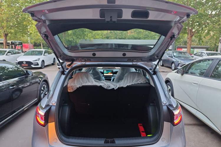 Used  Geome 2025 310km Youth Edition
