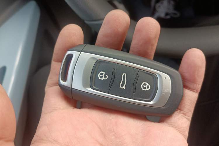 Used  Panda 2024 Panda Mini 200km Endurance Bear
