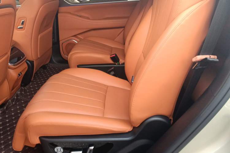 Used Wey Lanshan 2023 Four-Wheel Drive Ultra-Long Range Version
