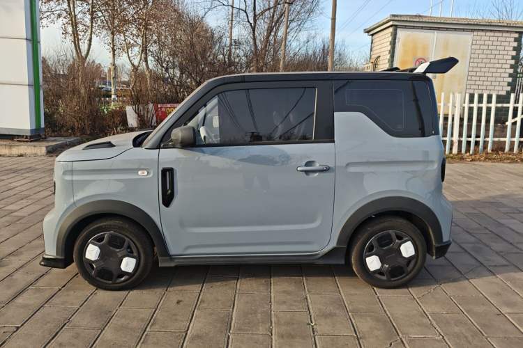 Used  Panda 2025 210km Panda Kart