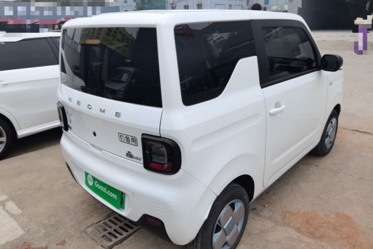 Used  Panda 2024 Panda Mini 200km Endurance Bear