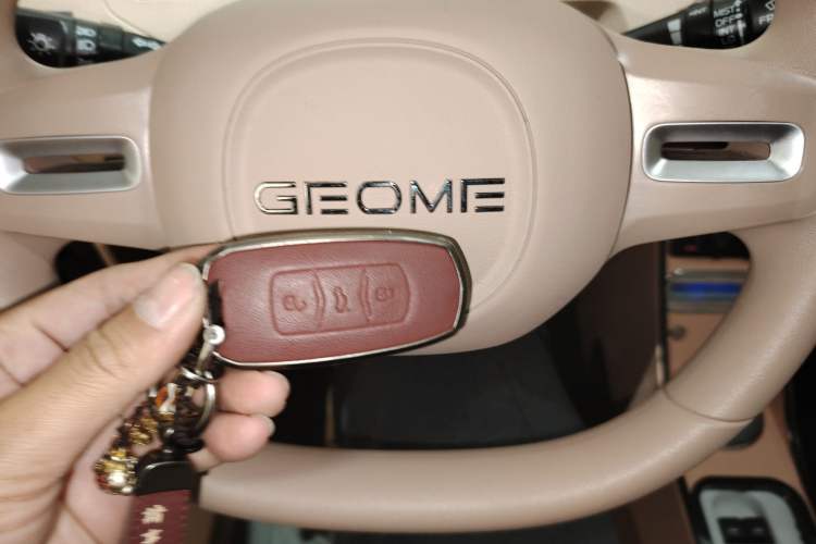 Used  Panda 2024 Panda Mini 200km Longteng PRO Edition
