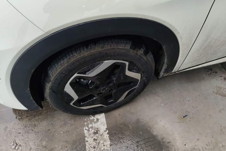 Used BYD Dolphin 2025 Smart Drive Version 420 km Freedom Edition
