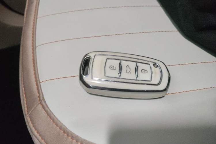 Used  Panda 2023 Panda Mini 200km Endurance Bear