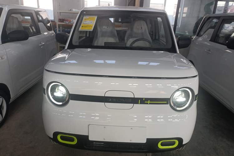 Used  Panda 2025 210 km – Yuanqi Bear