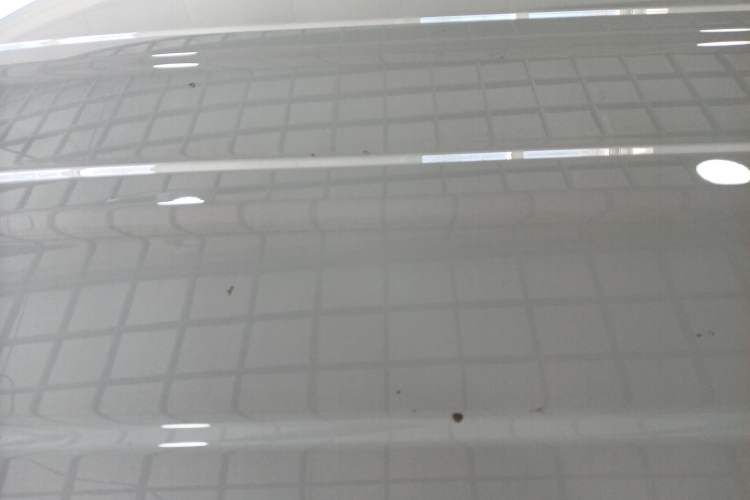 Used Wuling Zhiguang New Energy 