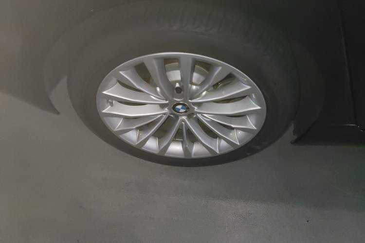 Used BMW 5 Series New Energy 2021 535Le Luxury Package
