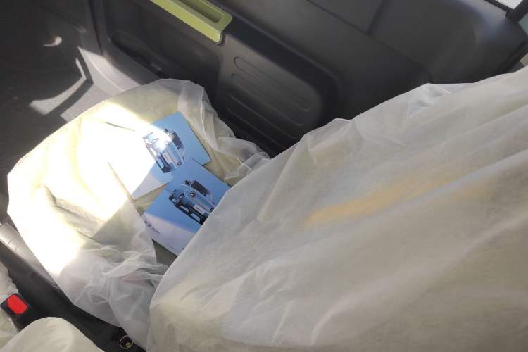 Used  Panda 2024 Panda Mini 200km Endurance Bear