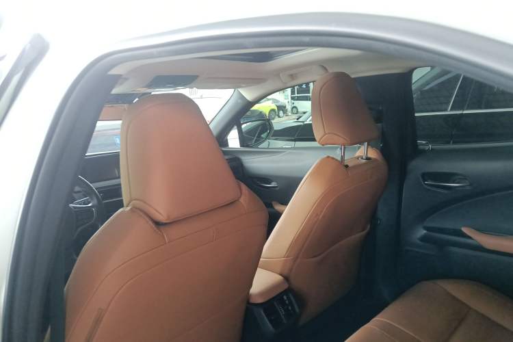 Used Lexus UX New Energy 2020 300e Pure·Joy Edition
