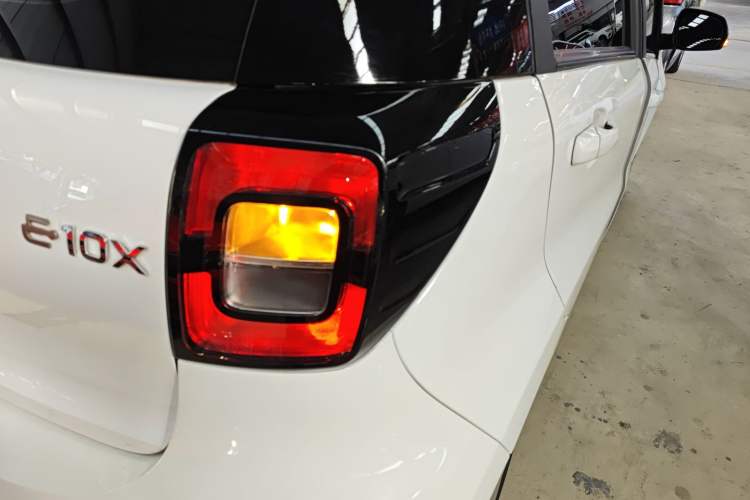 Used SOL E10X 2022 Flower Fairy Style Baby's Breath
