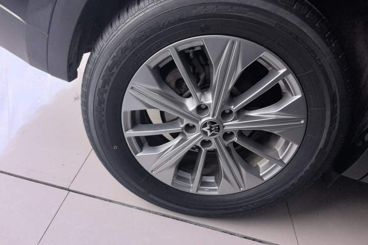 Used Venucia Star 2020 260T Automatic 48V Mild Hybrid Turbocharged Star Edition
