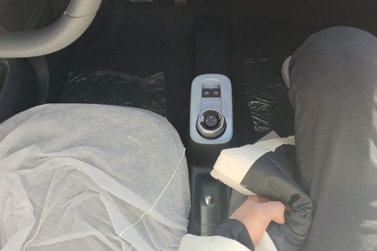 Used  Panda 2024 Panda Mini 200km Endurance Bear
