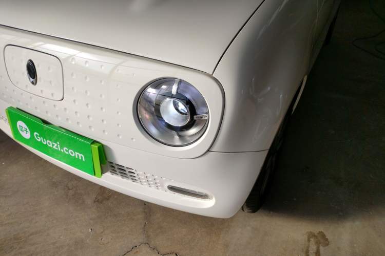 Used ORA Black Cat 2019 351 km Family Edition
