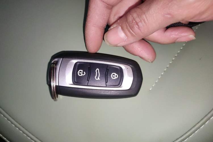 Used  Panda 2024 200km Panda Rider