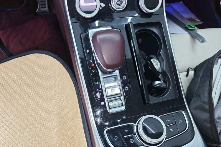 Used Hongqi H9 2020 3.0T Smart Connect Flagship Four-Seat Version
