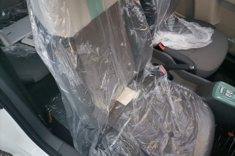 Used  Lumin 2025 205km Refreshing Edition