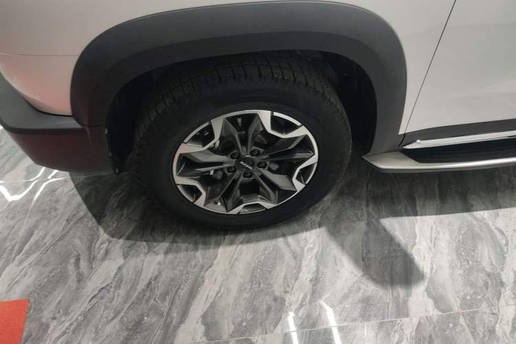 Used Haval DARGO 2021 2.0T DCT 4x4 Chinese Rural Dog Edition
