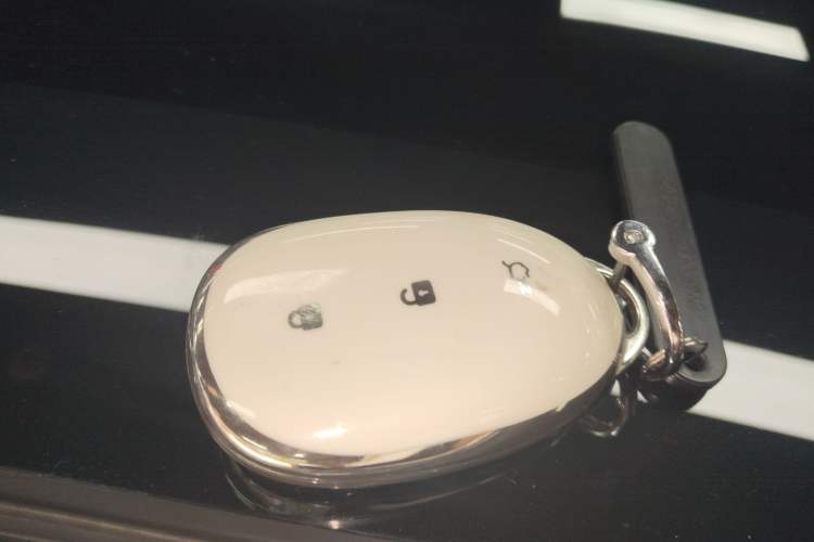 Used  A07 2024 All-Electric "True Fragrance" Edition 710 Flagship Model
