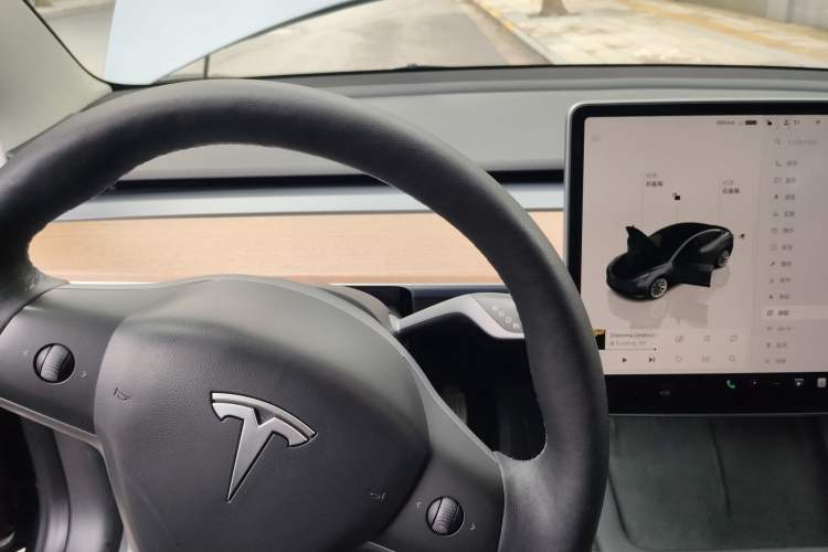 Used Tesla Model 3 2022 Rear-Wheel-Drive Version