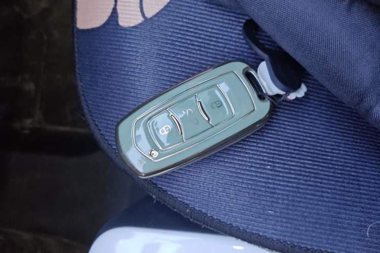 Used  Panda 2025 210km Panda Rider
