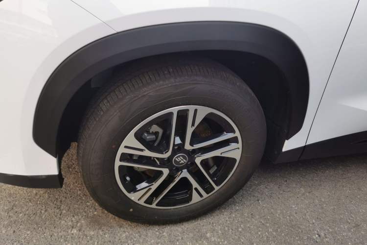 Used  Shanhai L6 2024 1.5TD DHT MAX
