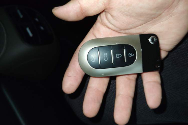 Used  #5 2024 Jungle Realm Limited Edition