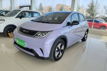 Used BYD Dolphin 2023 420 km Fashion Edition