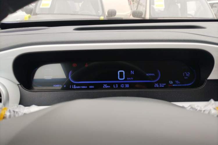 Used  Panda 2025 210 km – Yuanqi Bear