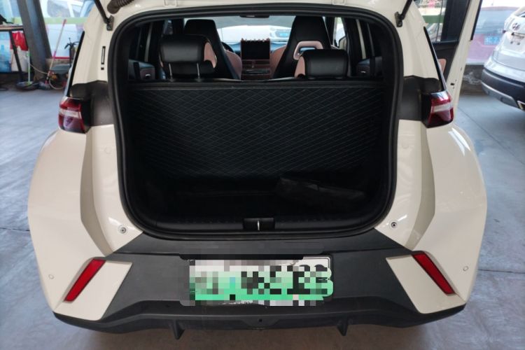 Used BYD Seagull 2025 305 km Free Version