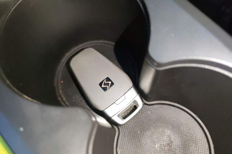 Used SOL E10X 2022 Flower Fairy Design Four-Leaf Clover
