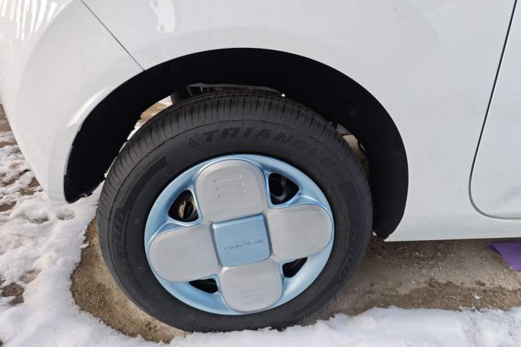 Used  Panda 2024 Panda Mini 200km Endurance Bear