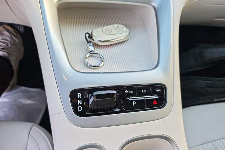 Used  Geome 2025 310km Youth Edition
