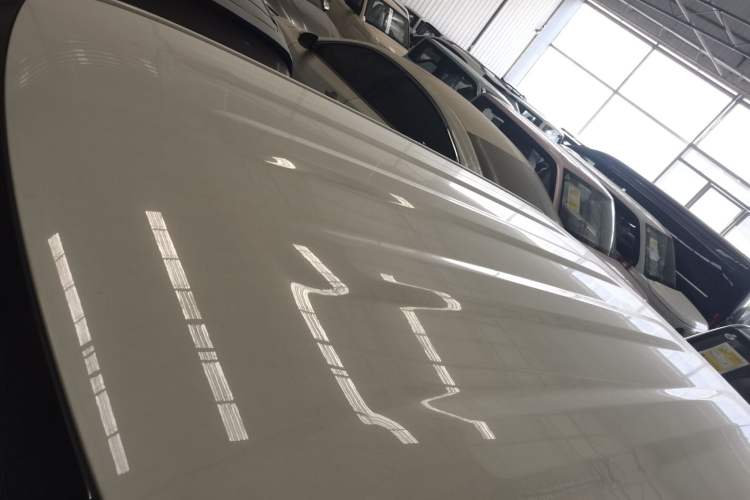 Used  Panda 2024 Panda Mini 200km Endurance Bear
