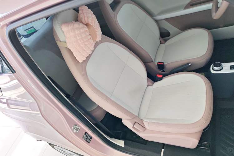 Used  Panda 2025 210 km – Yuanqi Bear