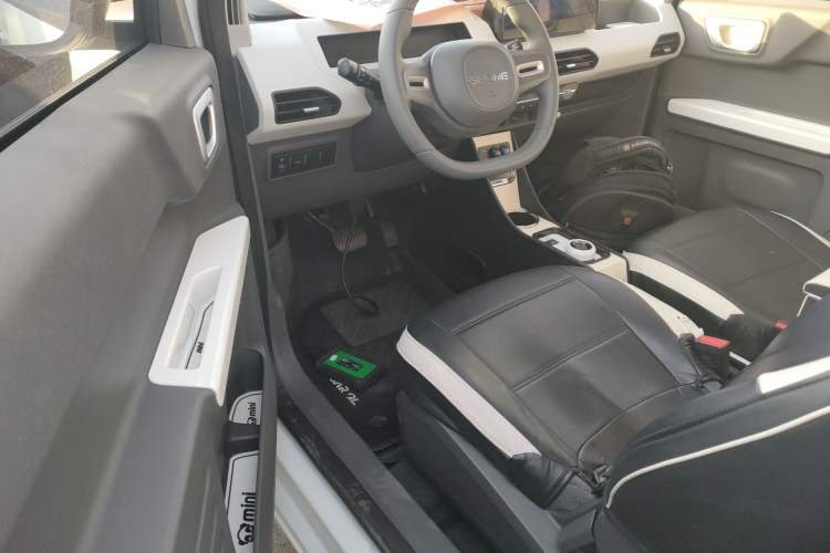 Used  Panda 2024 Panda Mini 200km Longteng PRO Edition
