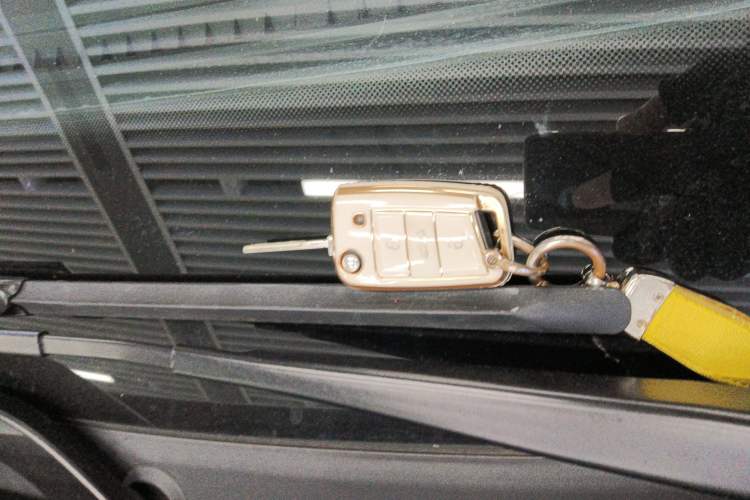 Used Volkswagen Polo 2019 Plus 1.5L Automatic Colorful Technology Edition