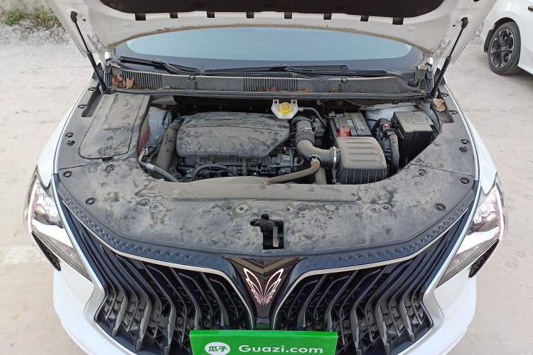 Used FORTHING Yacht 2022 1.5T DCT Chasing Wind Edition
