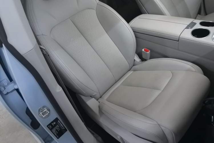 Used Leapmotor C11 2023 Pure Electric 500 Comfort Edition
