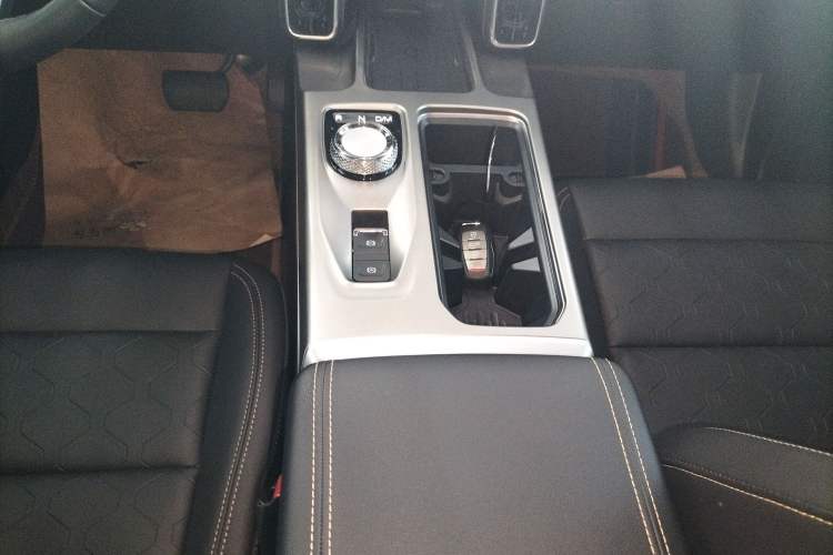 Used Haval DARGO 2024 2.0T DCT Chinese Rural Dog Edition